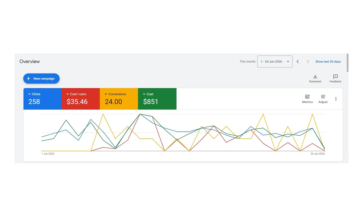 Google Ads overview for an immigration practice showing 258 clicks, 24 conversions and $851 spend over 24 days